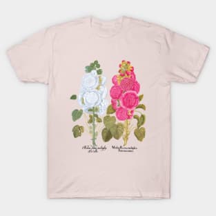 Hollyhocks by Basilius Besler T-Shirt